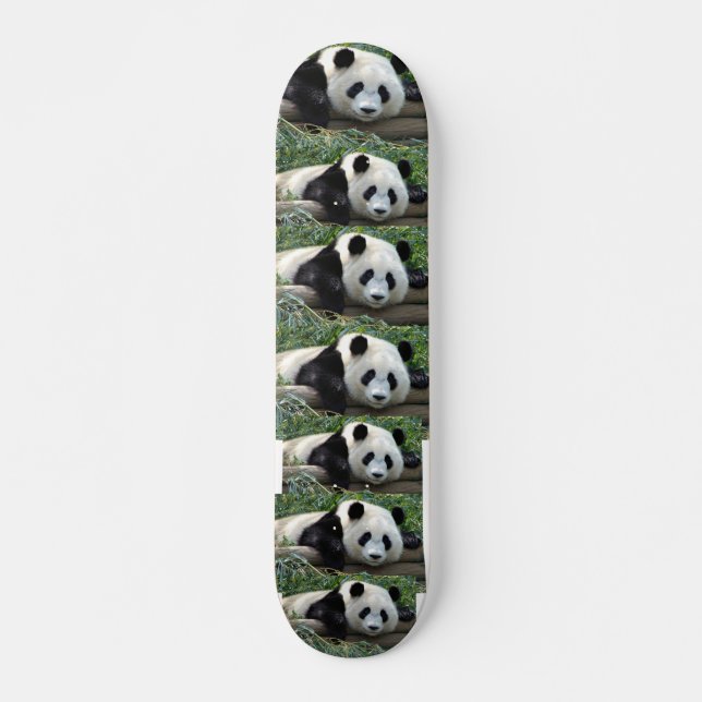 SKATEBOARD OURS PANDA (Devant)