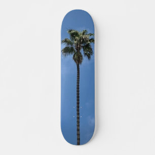 Skateboard Palmier sous ciel bleu