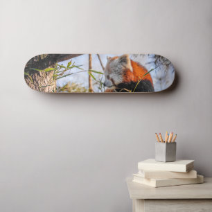 Skateboard Panda rouge