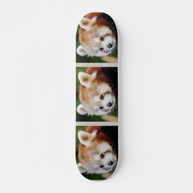 Skateboard Panda rouge animal mignon (Devant)