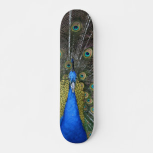 Skateboard Panneau de paon
