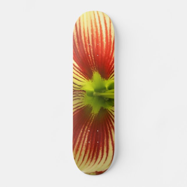 Skateboard Papillon Amaryllis (Recto)