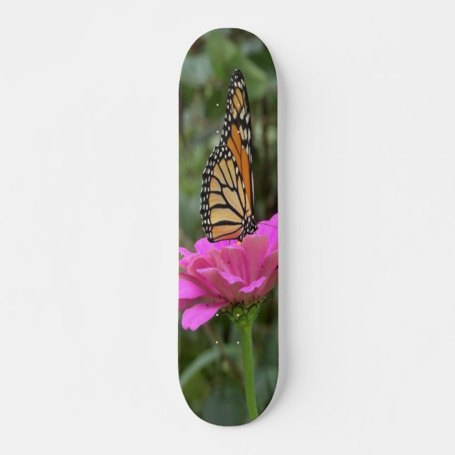 Skateboard Papillon Monarque sur une jolie fleur rose Zinnia (Devant)