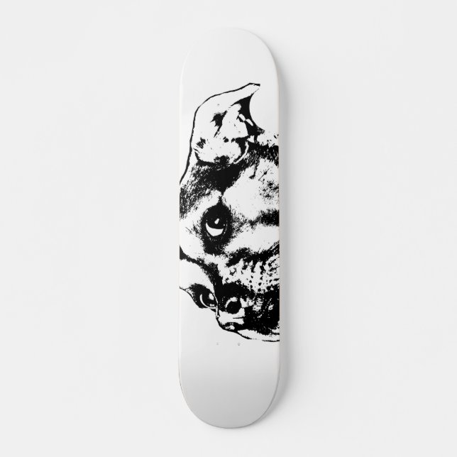 Skateboard Paquet à roulettes (Devant)