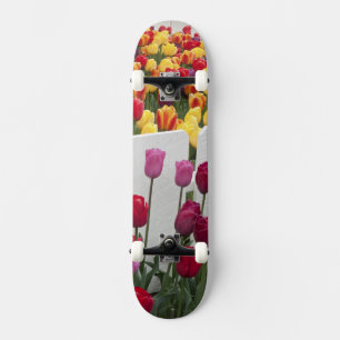 Skateboard Parade de Fremont
