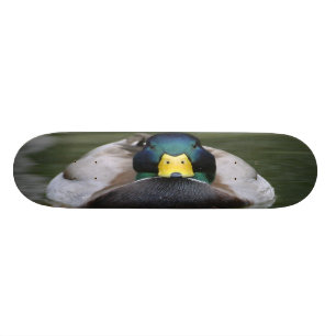 Skateboard patin du canard 2