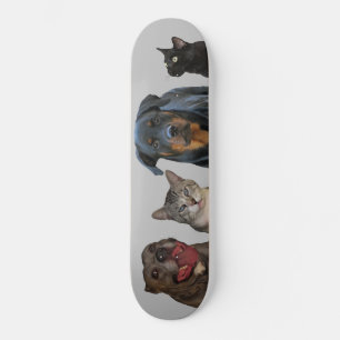 Skateboard Patinage de chiens et de chats en bois