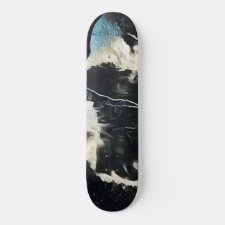 Skateboard Patinage en Montagne Noire et Bleue