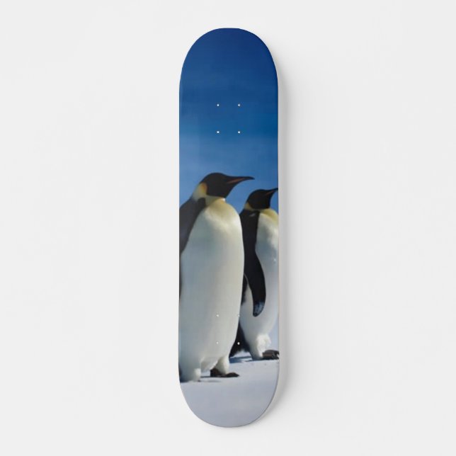 Skateboard Patinage en pingouin (Devant)