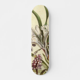Skateboard Patinage en violet de dents de chien