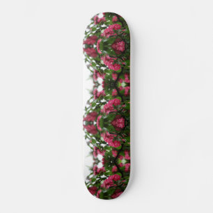 Skateboard Patinage fractionné