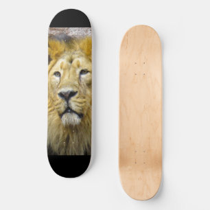 Skateboard Patinage Lion