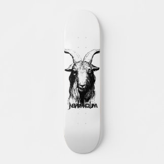 Skateboard Patinages WITCHHAVEN®