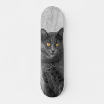 Patineta Gato Negro Británico De Pelo Corto