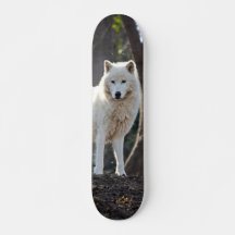 Patineta Lobo Blanco En El Bosque