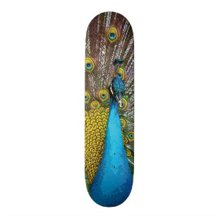 Skateboard Peacock Regal avec plumes Turquoises Bleues et Or