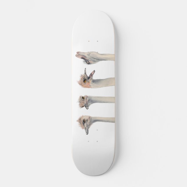 Skateboard Peinture drôle d'autruches "de reine de drame" (Recto)