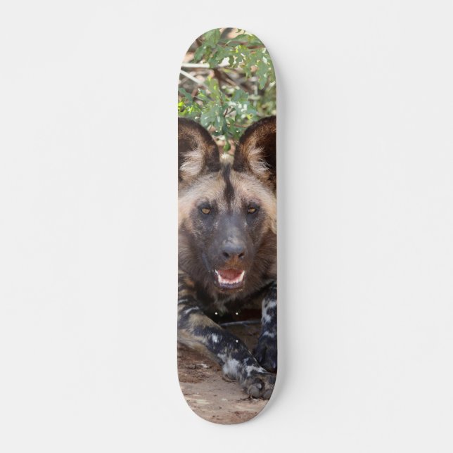 Skateboard Perro salvaje vigilando para cazar (Devant)