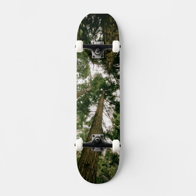 Skateboard Perspective Forest (Front)