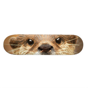 Skateboard Petite loutre griffée asiatique