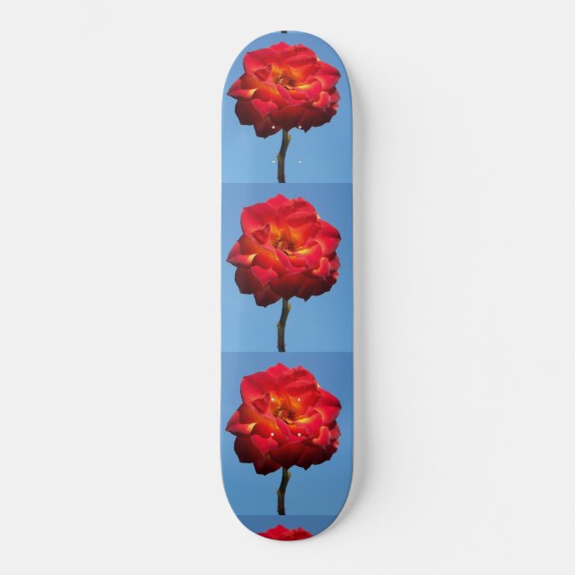Skateboard Phoenix Rose dans le Sky-skateboard (Recto)