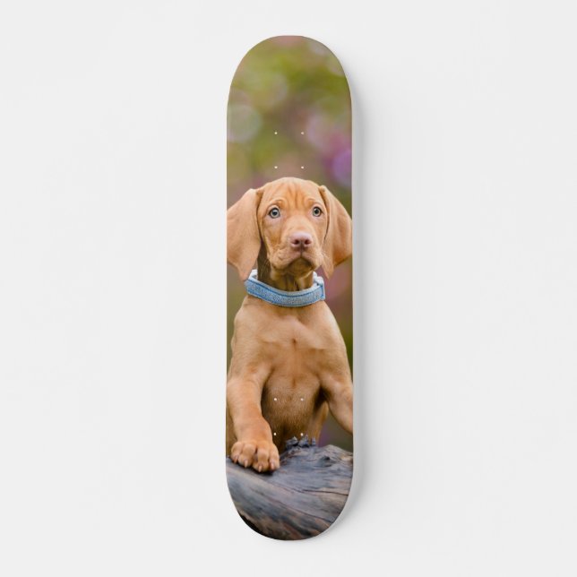 Skateboard Photo puppyeyed mignonne de chiot de chien de (Devant)