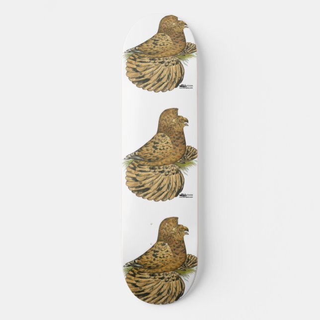 Skateboard Pigeon Almond (Recto)