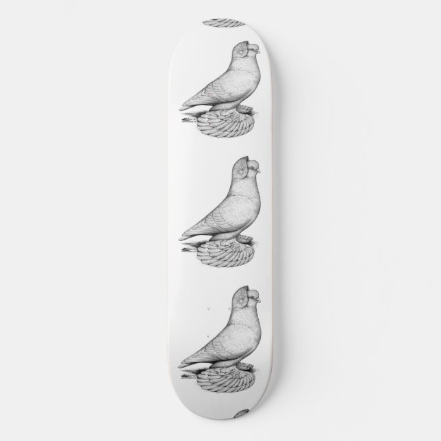 Skateboard Pigeon moine russe (Recto)