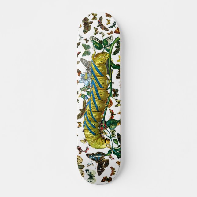 Skateboard Pilier d'Acherontia atropos (Devant)