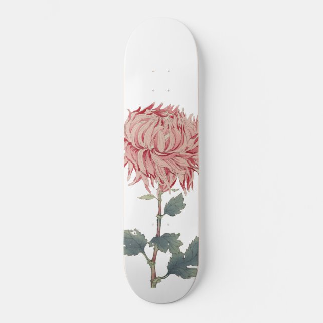 Skateboard Pink Chrysanthemum Globe Flower Skboard (Recto)