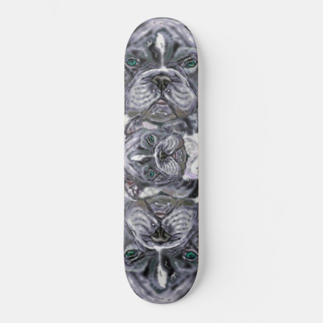 Skateboard Pitbull (Recto)