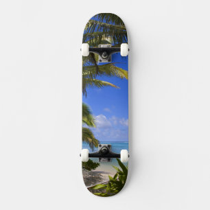 Skateboard Plage bordée de palmiers Îles Cook 2