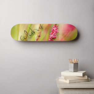 Skateboard planche à roulettes
