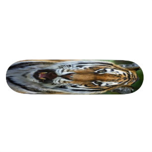 Skateboard Planche à roulettes avec l'image de visage de