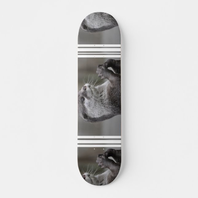 Skateboard Planche à roulettes de cerveau de loutre (Devant)