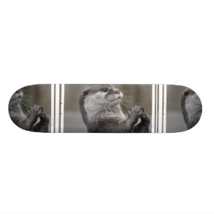 Skateboard Planche à roulettes de cerveau de loutre