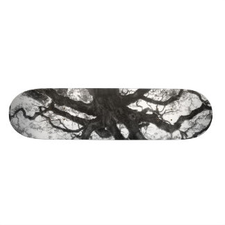 Skateboard Planche à roulettes de chêne