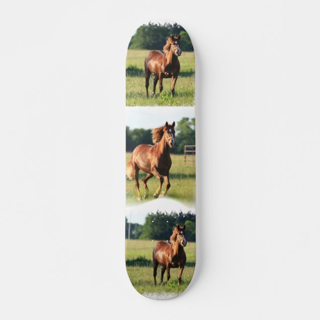 Skateboard Planche à roulettes de cheval de châtaigne (Devant)