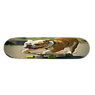 Skateboard Planche à roulettes de chien de patineur