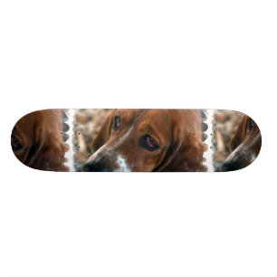 Skateboard Planche à roulettes de conception de Basset Hound