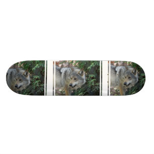 Skateboard Planche à roulettes de égrappage de loup