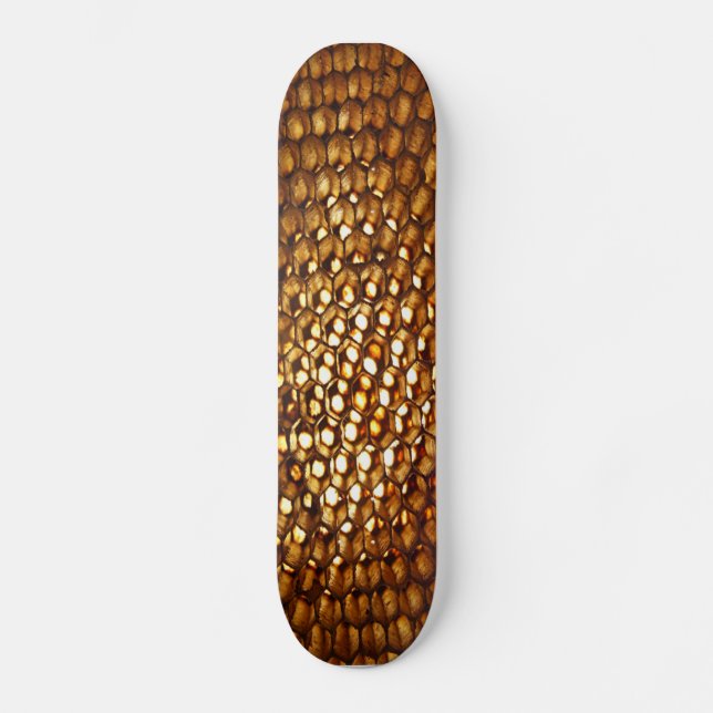 Skateboard Planche à roulettes de nid d'abeilles (Recto)