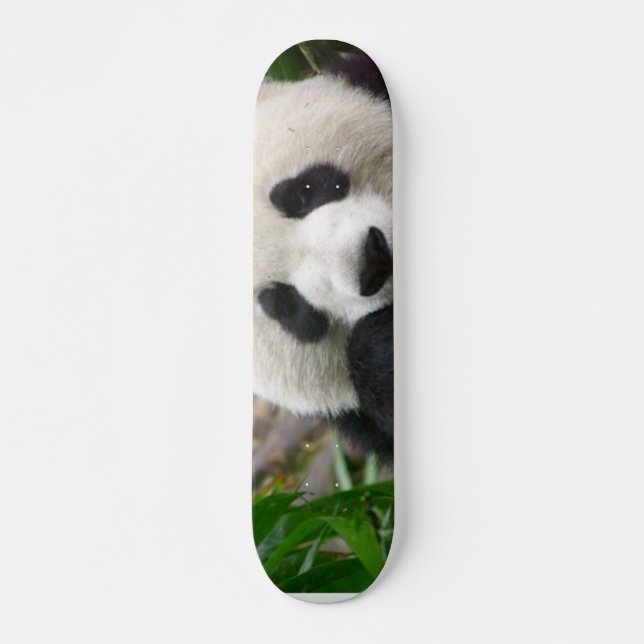 Skateboard Planche à roulettes de panda (Devant)