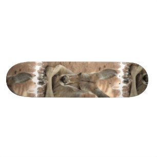 Skateboard Planche à roulettes de repos de kangourou