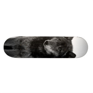 Skateboard Planche à roulettes de "solitude"