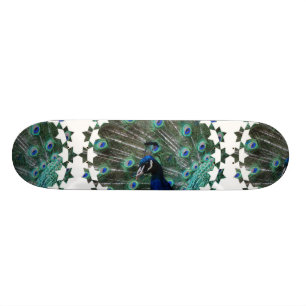 Skateboard Planche à roulettes d'oiseau de paon