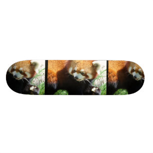 Skateboard Planche à roulettes rouge mignonne d'ours panda