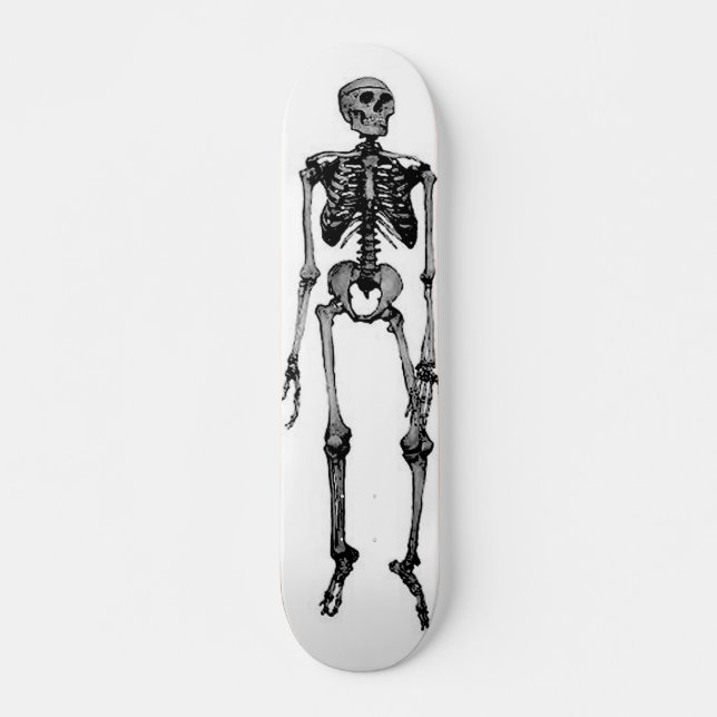 SKATEBOARD PLANCHE À ROULETTES, SQUELETTE (Devant)