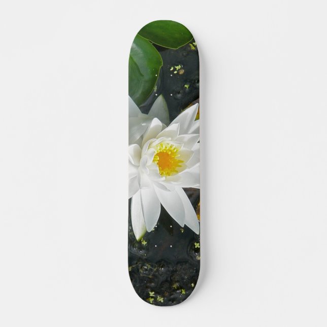 Skateboard Planche blanche (Devant)