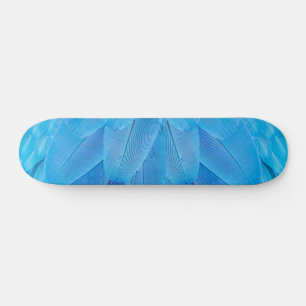 Skateboard Plumes bleues turquoises du perroquet de Macaw